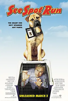 特级黄毛片